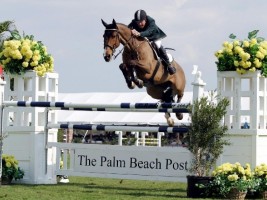 Royal Discovery - Olympic horse Samantha McIntosh